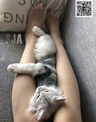 国产精品美女免费视频大全_剧情片韩国电影在线观看